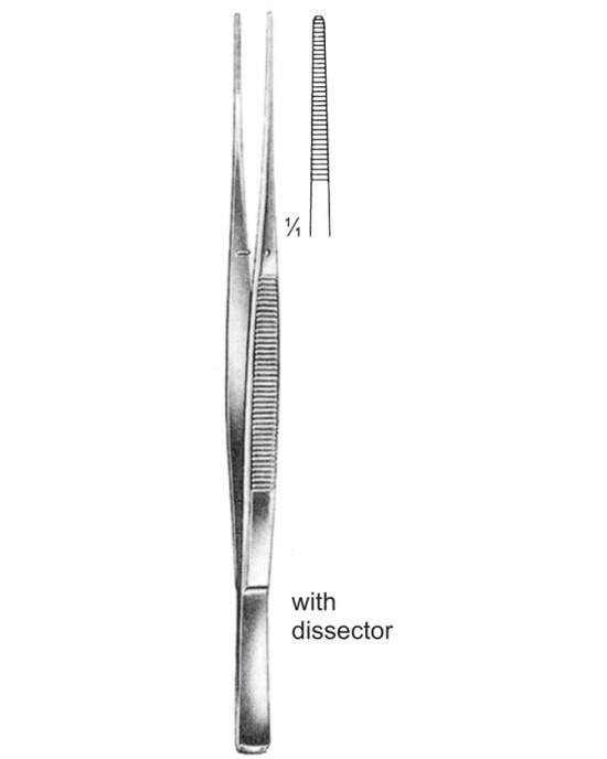 SI 08-2026-17