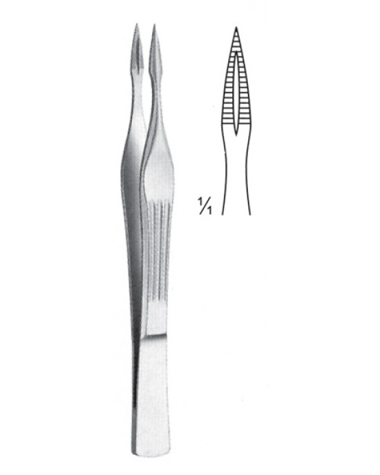 SI 08-2133-10